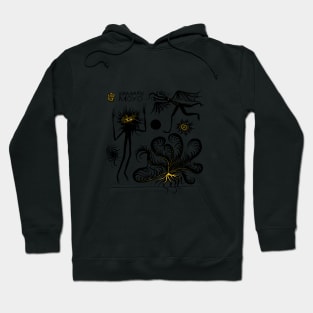 Kikagaku Moyo monsters Hoodie